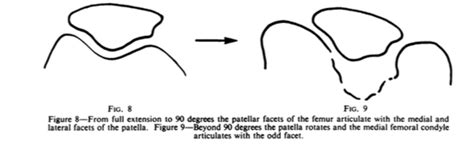 odd facet|function of the patella.